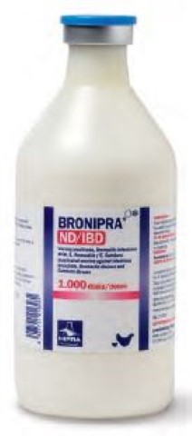 Bronipra-ND, 1000 DS
